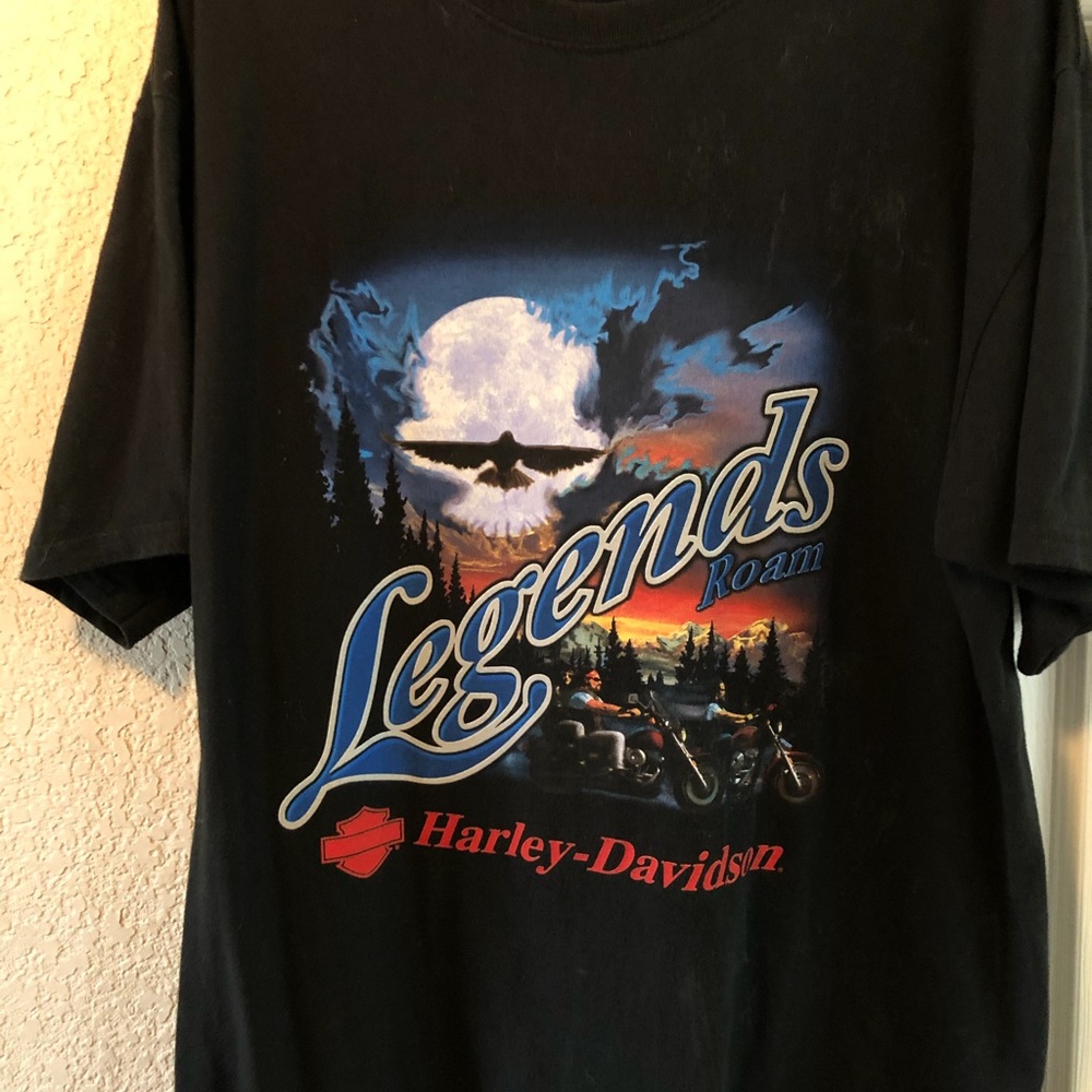 Harley Davidson Men's Black T-Shirt Legends Roam-Tecumseh Michigan Size Xl